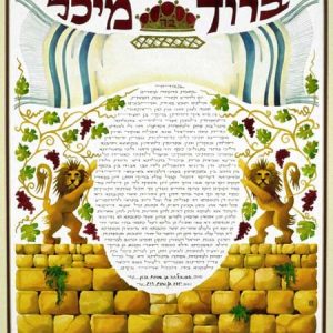 Tallit over Lions with Kotel